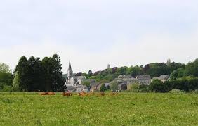 Vue d'une rue typique d'Assesse avec panneaux indiquant un service de vidange local Vidange Assesse et maison en briques rouges