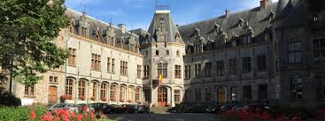 Vidange Ham-sur-Heure-Nalinnes rue pavée charmante avec bâtiments en briques typiques et arbre verdoyant en arrière-plan